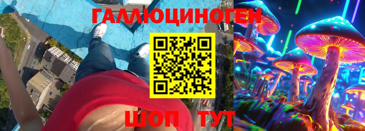 Псилоцибиновые грибы мицелий Геленджик