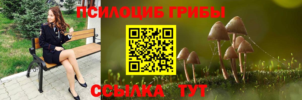 Псилоцибиновые грибы Psilocybine cubensis  Вход с VPN  Геленджик 